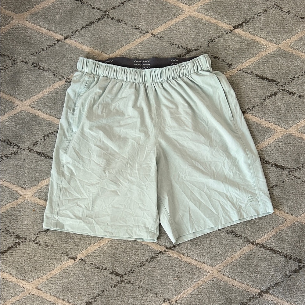Free Fly Apparel Men's Mint Green Athletic Shorts